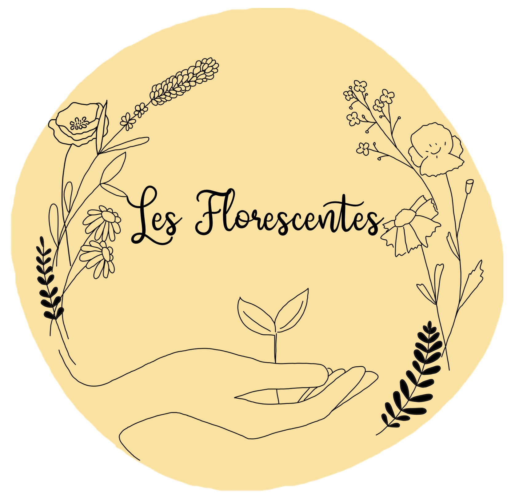 https://www.facebook.com/lesflorescentes09