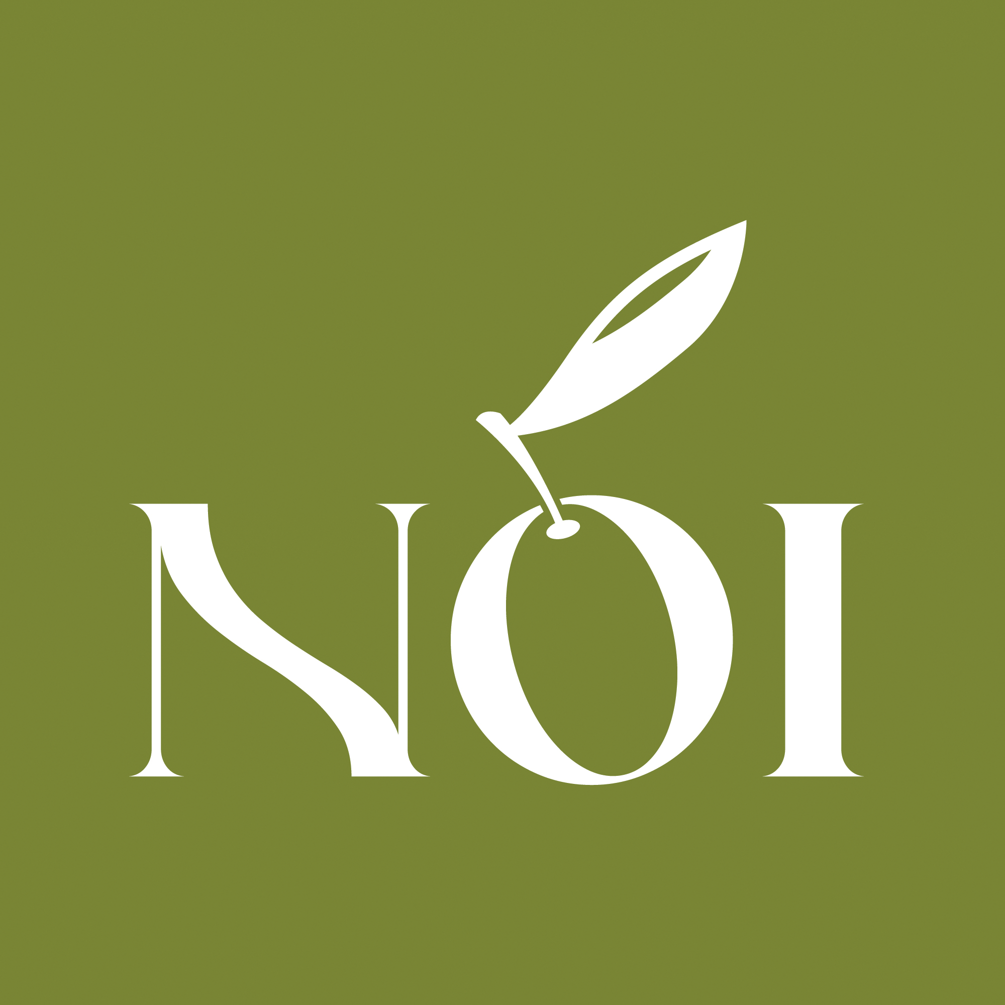 https://www.instagram.com/noi.restofoix/