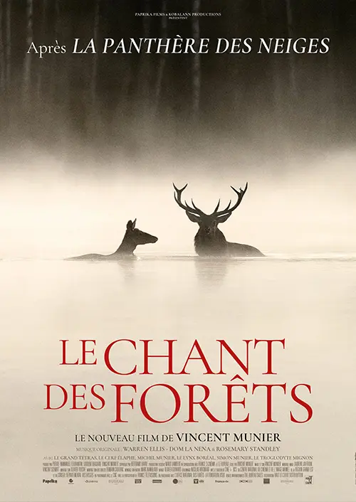 Le chant des forêts